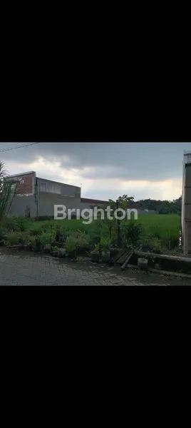 DISEWAKAN TANAH SAWAH