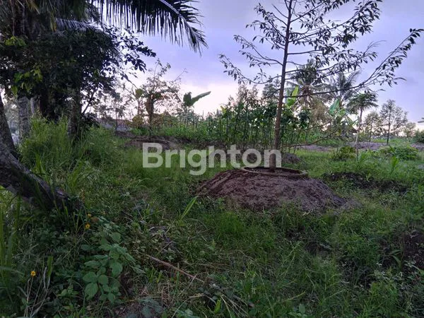 image SAWAH LD 40 METER DI PAKEM AREA CAFE, VILA, DESA WISATA (7)