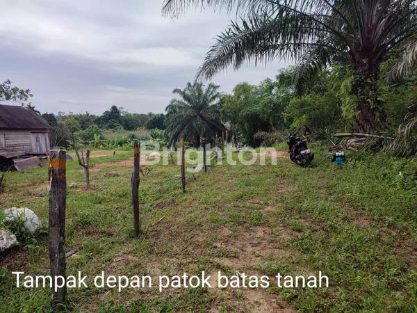 image TANAH SELUAS  3.087 M² DEKAT SEKOLAH NEGERI BALIKPAPAN UTARA (4)