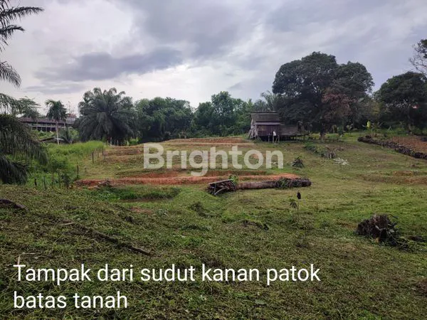 image TANAH SELUAS  3.087 M² DEKAT SEKOLAH NEGERI BALIKPAPAN UTARA (3)
