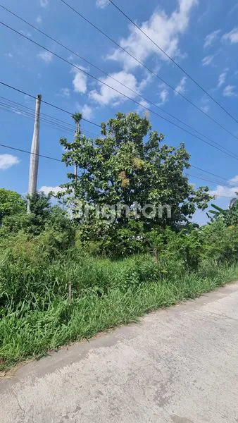 image TANAH DIJUAL DI GAGAK SIPAT (8)