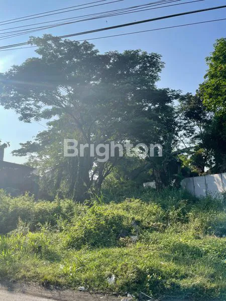 image TANAH MURAH BRIGIF PALUR (1)