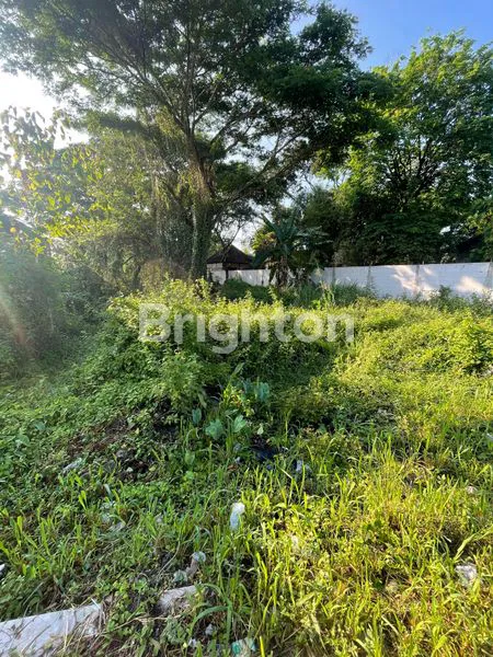 image TANAH MURAH BRIGIF PALUR (5)