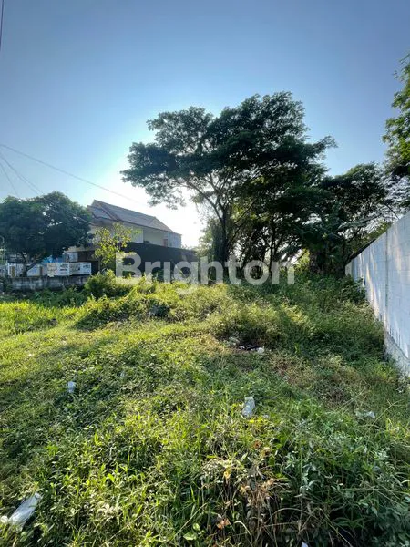 image TANAH MURAH BRIGIF PALUR (3)