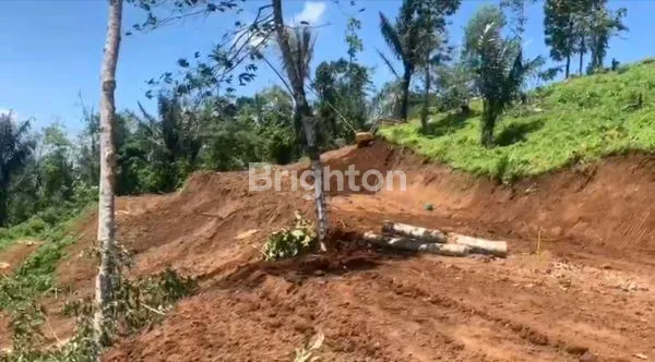 image PREMIUM, TANAH KAVLING DURIAN MUSANGKING 10 ARE - VIEW MOUNT, HILL, OCEAN, FORREST - INVESTASI AGRO & ECO  TOURISM DI PENEBEL TABANAN. (8)