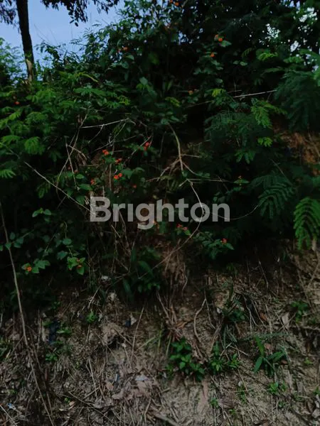 image TANAH DIPINGIR JALAN HANGTUAH (4)