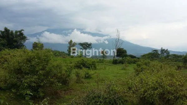 image TANAH LOKASI RAYA PANEKAN (2)