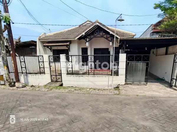 image RUNGKUT MENANGGAL HARAPAN LUAS BESAR LANGKA (1)