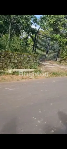 image KEBUN DURIAN PRODUKTIF 6400M² SHM DI KARANGANYAR (8)