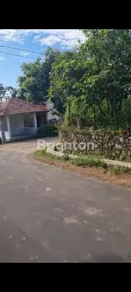 image KEBUN DURIAN PRODUKTIF 6400M² SHM DI KARANGANYAR (3)