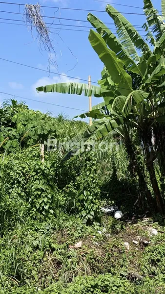 image FOR RENT – LAND IN DEWI SRI I, BALI (2)