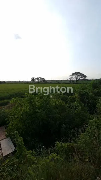 image TANAH BANJARSARI GRESIK (5)