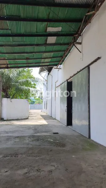 image GUDANG BESAR SIAP HUNI (8)