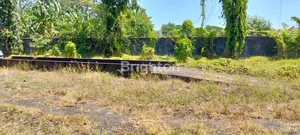 image GUDANG IR SUTAMI (6)