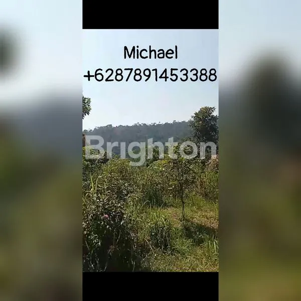 image LUAS TANAH PERKEBUNAN 17,4HA DAERAH KENDAL, SUKOREJO\\\\N (2)