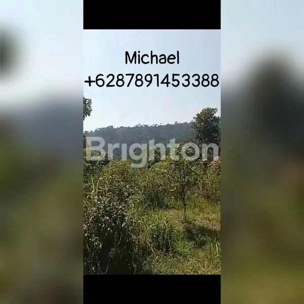 image LUAS TANAH PERKEBUNAN 17,4HA DAERAH KENDAL, SUKOREJO\\\\N (1)