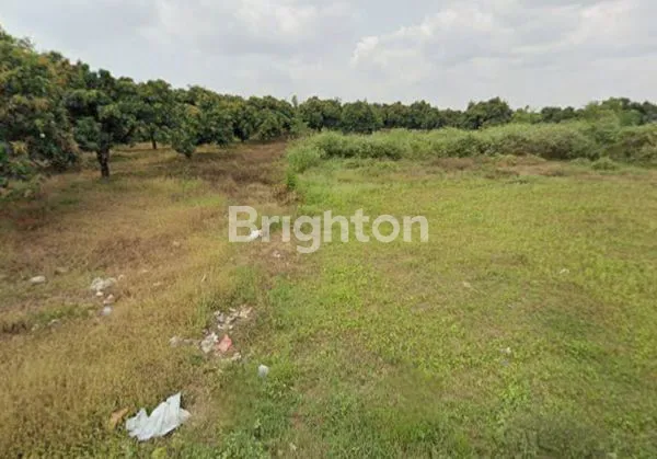 image TANAH LUAS DI GANTAR INDRAMAYU (2)