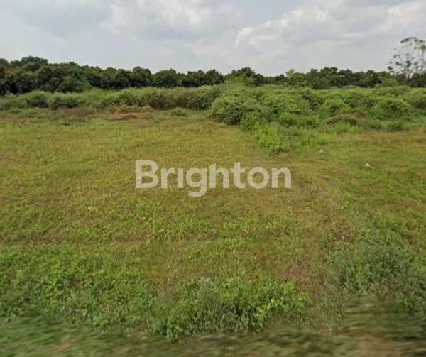 image TANAH LUAS DI GANTAR INDRAMAYU (4)