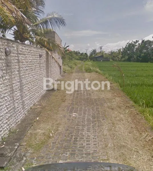 image TANAH ZONA WISATA AREA STRATEGIS CEMAGI  BADUNG (2)
