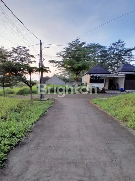 image RUMAH BOGOR (8)