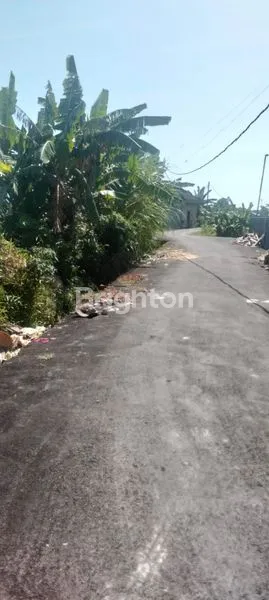 image TANAH DIJUAL DENPASAR BALI (4)