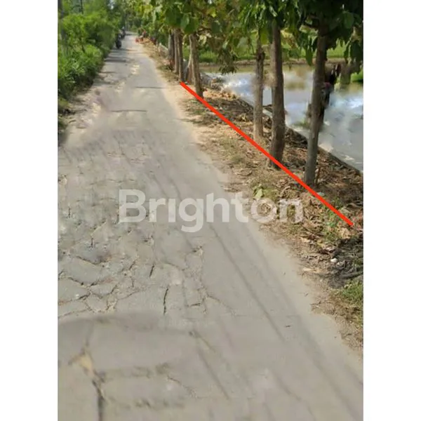 DIJUAL TANAH SAWAH DI KABUPATEN LAMONGAN LOKASI STRATEGIS