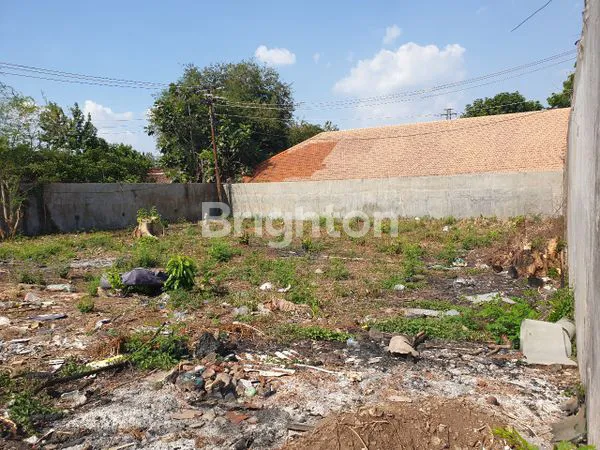 image DISEWAKAN TANAH KOSONG SEMARANG ATAS (8)