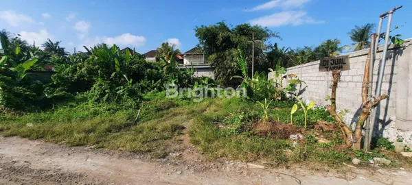 TANAH DIJUAL 4 ARE - SERONGGA