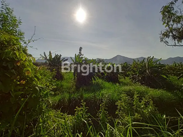 image TANAH SELUAS 16.899M², LOKASI STRATEGIS 0 KM JALAN NASIONAL (4)