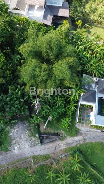 image LAND FOR SALE 1,9 ARE PERERENAN RP.2.185.000.000 (2)