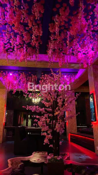 image HOSTEL MEWAH 3 LANTAI DI PUSAT SEMINYAK, INVESTASI PREMIUM (1)