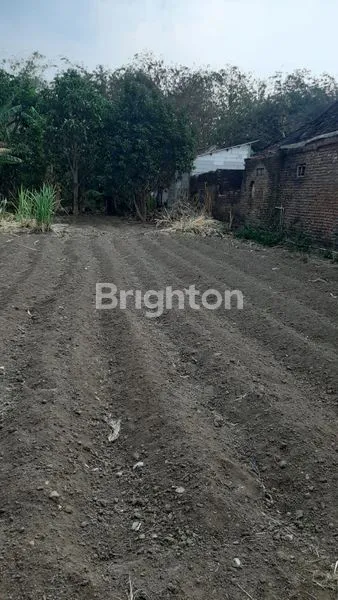 image TANAH LUAS 825M² STRATEGIS DI BULAKREJO NGANJUK (1)