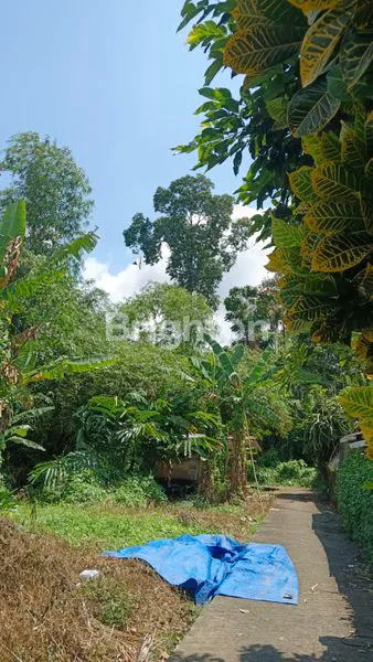 image \UD83C\UDDEC\UD83C\UDDE7 FOR SALE – 60 ARE LAND IN TABANAN, NEAR BADUNG & MENGWI BORDER (3)