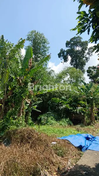 image \UD83C\UDDEC\UD83C\UDDE7 FOR SALE – 60 ARE LAND IN TABANAN, NEAR BADUNG & MENGWI BORDER (2)