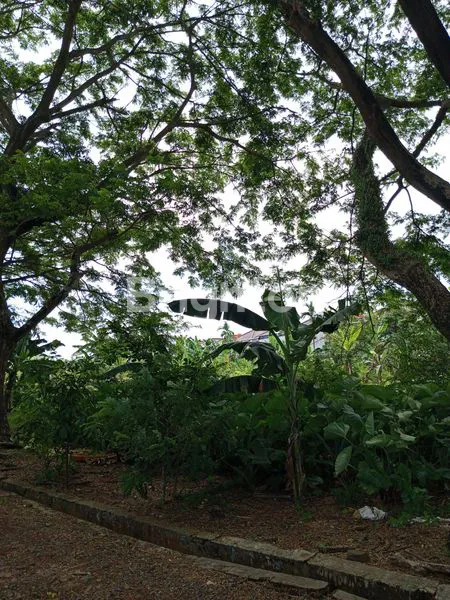 image DIJUAL TANAH MURAH DI TENGAH KOTA BANDAR LAMPUNG (7)