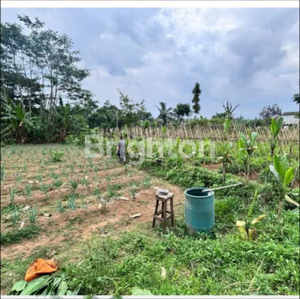 image JUAL CEPAT TANAH DI SUKABUMI (2)
