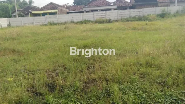 image TANAH PINGGIR JALAN BESAR DAERAH WATUKOSEK, RAYA NGORO, MOJOKERTO (2)