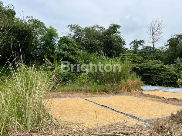 image TANAH STRATEGIS 3 BIDANG JADI SATU LOKASI DI CISALADA -PURWAKARTA (2)