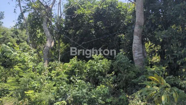 image TANAH STRATEGIS 930 M² PINGGIR JALAN RAYA (2)