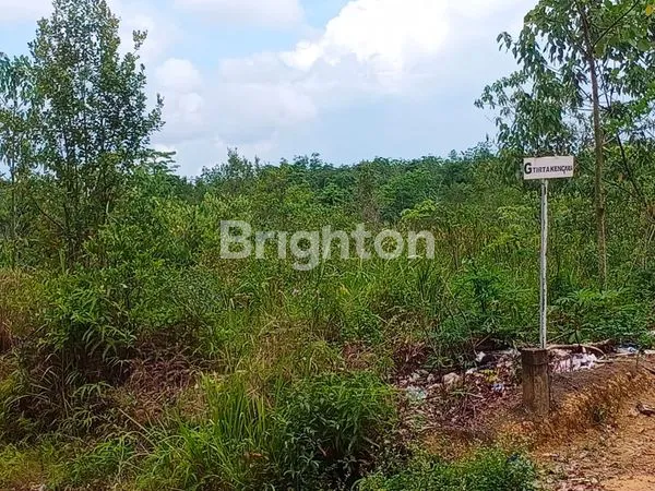 TANAH STRATEGIS 2 HEKTAR DI PINGGIR JALAN RAYA TANJUNG UBAN