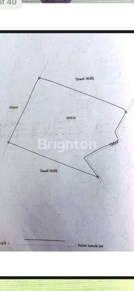 image DIJUAL TANAH 3 HA - BULELENG (3)