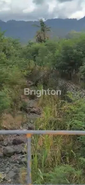 image DIJUAL TANAH 3 HA - BULELENG (4)