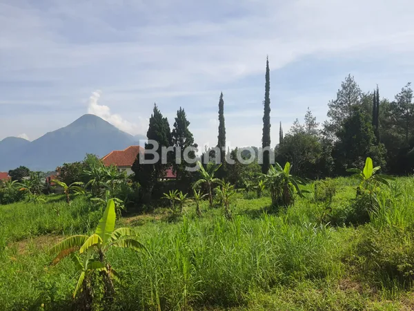 image TANAH / KAVLING SIAP BANGUN DENGAN VIEW PEGUNUNGAN DI TRAWAS, DENGAN SUASANA PEGUNUNGAN YANG SEJUK, COCOK DIBANGUN VILA UNTUK LIBURAN KELUARGA MAUPUN HEALING PRIBADI (3)