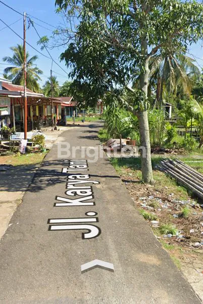 image LAHAN LUAS PERKEBUNAN KELAPA AKSES MUDAH JALAN KARYA TANI, SUNGAI KAKAP (5)
