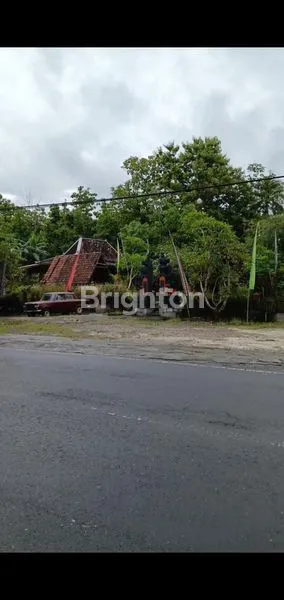 image *TURUN HARGA* EXS RESTO AYAM TALIWANG KARANG MOJO GUNUNG KIDUL (3)