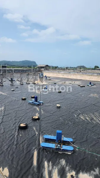 image TAMBAK UDANG KOMERSIAL LENGKAP FASILITAS DI SIDOMULYO (2)