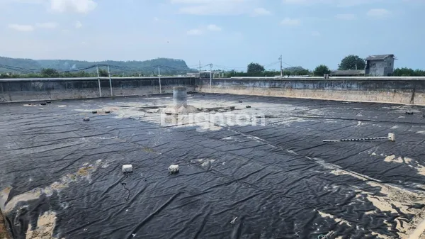 image TAMBAK UDANG KOMERSIAL LENGKAP FASILITAS DI SIDOMULYO (4)