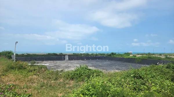 image TAMBAK UDANG KOMERSIAL LENGKAP FASILITAS DI SIDOMULYO (6)