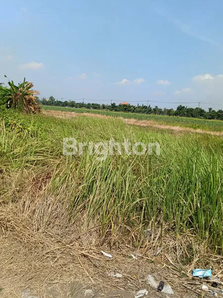 TANAH KAVLING SIDOARJO, DEKAT TOL & RS, SHM READY 104M²