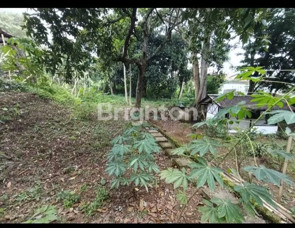 image TANAH KOSONG SIAP DIBANGUN KOST KOST AN DAERAH CIUMBULEUIT ,KOTA BANDUNG JAWA BARAT (3)